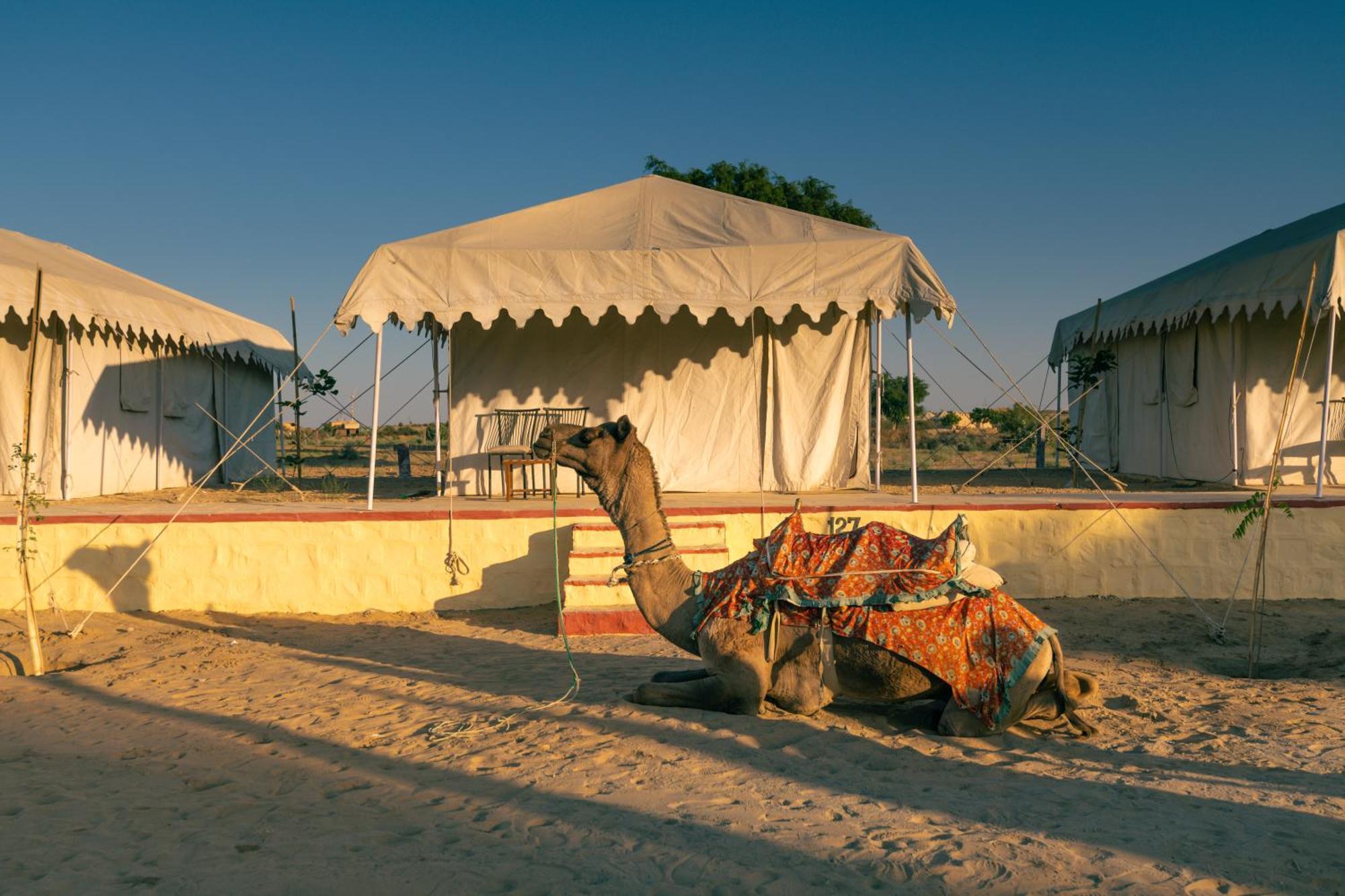 Royal Pavilion Camps By Shrigo Hotels Sām Extérieur photo
